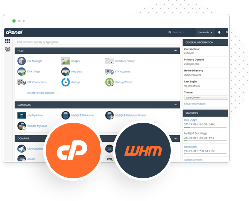 Coder Drop Cpanel